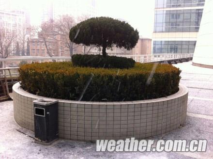 12���糿�����󲿵���������Сѩ ��������Сѩת����