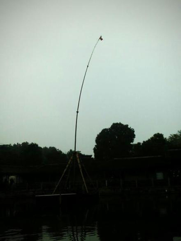 �����Ƶ��Ӱ�� �㽭���ܶ�����ֲ���ѩ