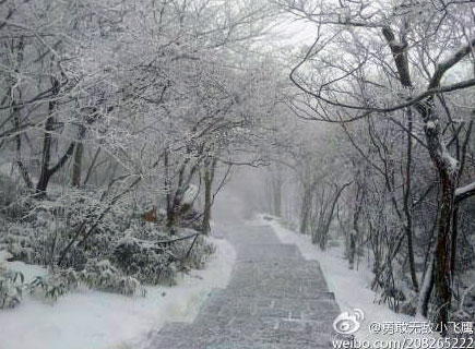 ���ն�س��ֽ�ѩ �������Զ���Ϊ��