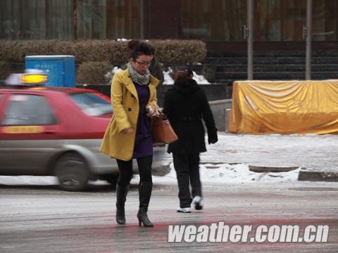 δ��������ཫӭ������ѩ���Խ�������