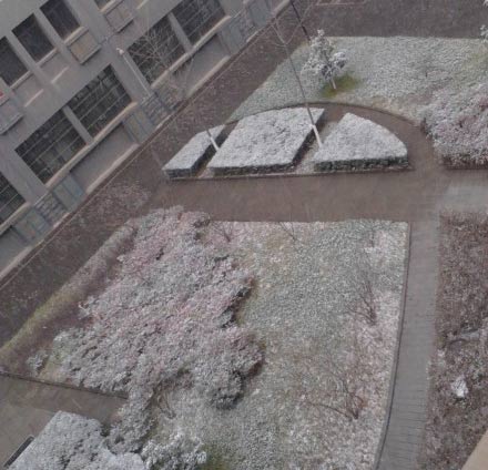 Ʈѩ������ ��������ϲ������