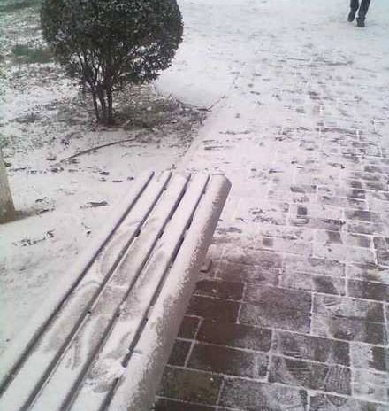 Ʈѩ������ ��������ϲ������