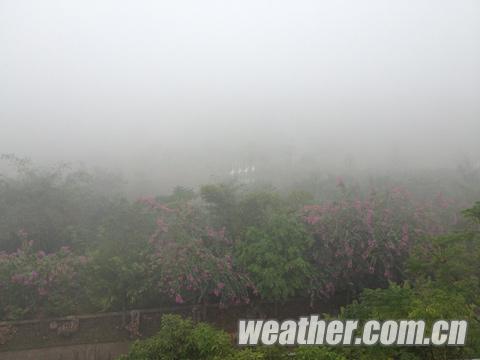 �������ϲ��������� ��·ʪ����ע�⽻ͨ��ȫ