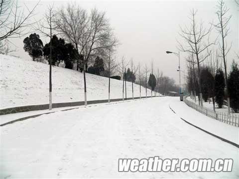 20��ɽ���ֵ��ִ�ѩ 21����ȫʡӭ��罵������