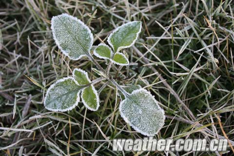 �������ֽ񶬴�Χ˪�� �ֵ��������-2.3��