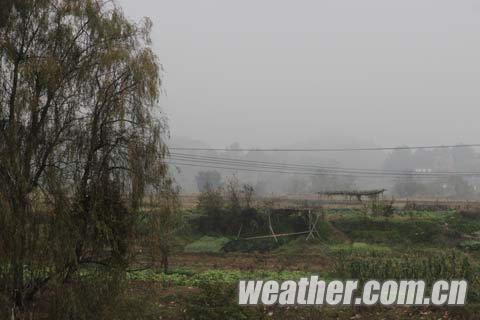 福建部分地区浓雾弥漫 能见度仅100米