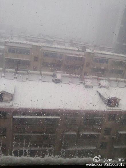 ΢����ͼ���������ȵ�26�ճ��ֽ�ѩ