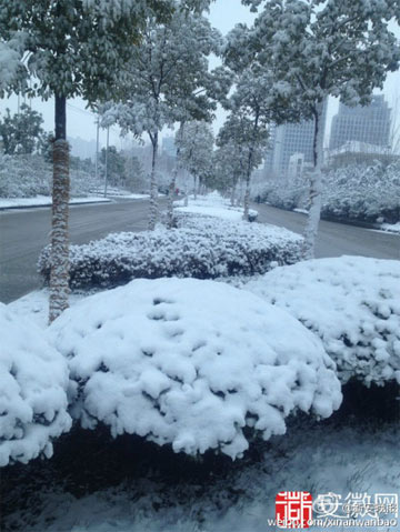 ����δ���������ѩ �������·��ѩ�����Ĳ���Ӱ��