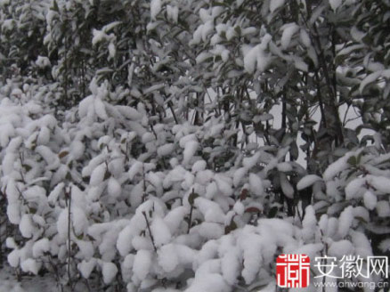 ����δ���������ѩ �������·��ѩ�����Ĳ���Ӱ��