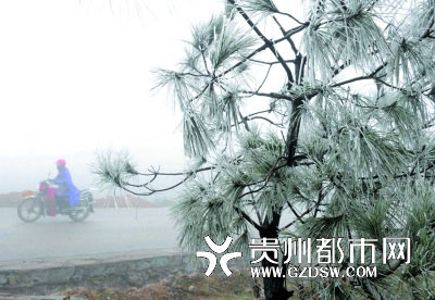 �����в����������� 29��ȫʡ��ӭ��ѩ����