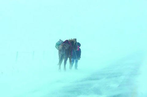 �ӱ�������-40�漫������ ��ʾ�ÿ����루ͼ��