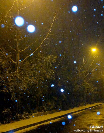 ����΢����ͼ��������ѩ