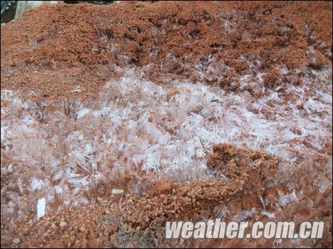 �������ֽ������Ӱ�콻ͨ ������������������