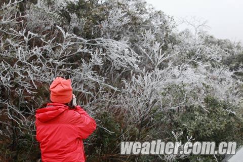 ��������ɽ����ڡ����