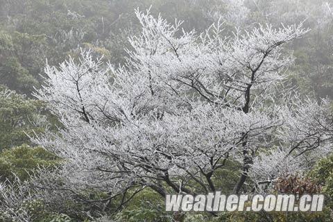 ��������ɽ����ڡ����