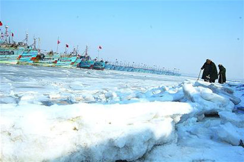 28年最冷天今冬海冰“脸皮”厚