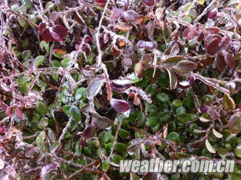 ���������ֺ�����������ڡ