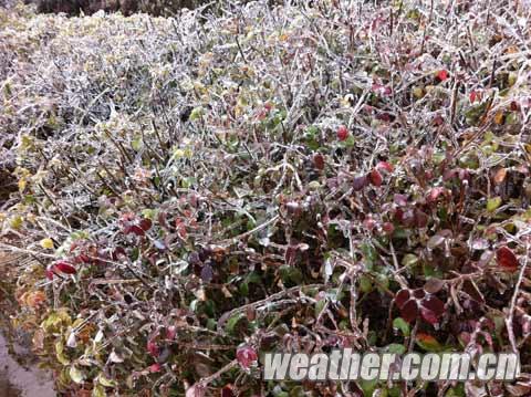 ���������ֺ�����������ڡ