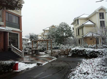 ��ѩ���Ϻ�����ȡ���ͳ�ͣ�� δ�����������