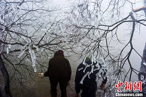 ���������¹����غ��ֳ���ľ�������