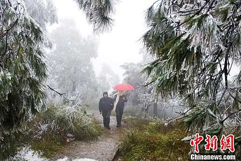 ���������¹����غ��ֳ���ľ�������