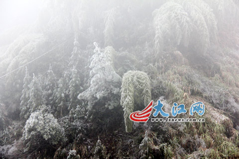 井冈山部分景点开放 山上现雾凇