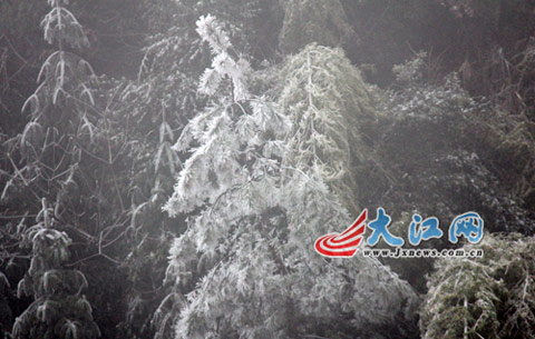 井冈山部分景点开放 山上现雾凇
