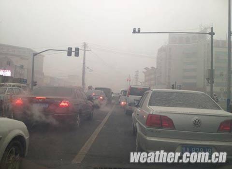 ɽ�����붬�������������� δ��������������