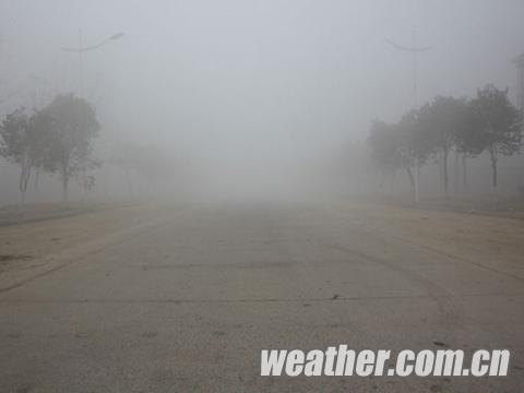 ɽ�����ֵ������ִ��� 23����ӭ���