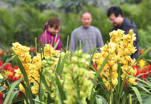 1��22�գ�ɽ��ʡ��������ƽ�غ�����ũ��������ѡ���ʻ���