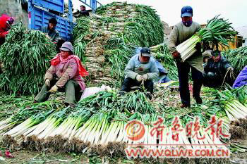 ��ѩ���� ���ϲ˼����˽��ĳ�