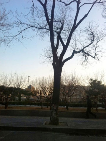 ��ҹ�����ϲ������� ������ת���Ʒ�С�˳���