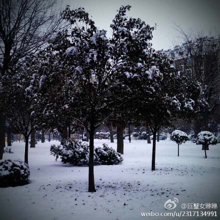 山东降雪结冰致高速关闭航班停运 今起迎大风降温