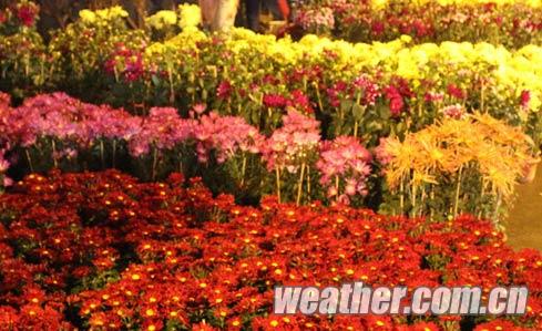 冷空气袭广东 全省将降温7至10℃