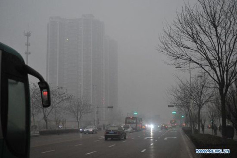 �ӱ�����������Ϯ ʯ��ׯһƬ�Ұ�(��ͼ)