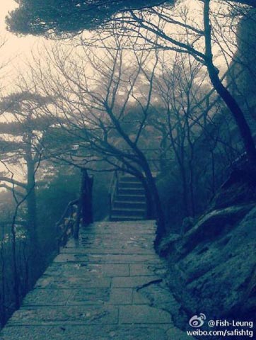 �󵽱�ѩ��Ϯ�������ϲ� ���½��ս�8��