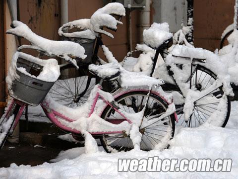 ��ѩ��ҹϮ���� ��ͨ��������