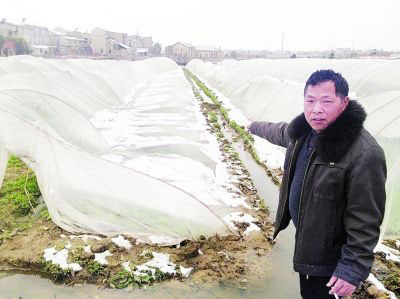 �人һҹ��ѩѹ������Ķ�߲˴���