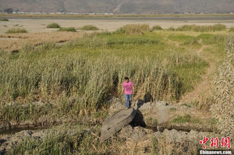 �����ɺ�������60�������� ���ֵ���4������