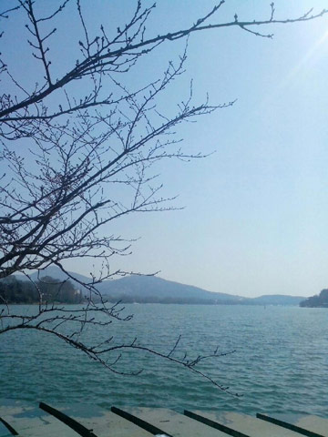 �Ͼ�ѩ����� �����������Ը������»���