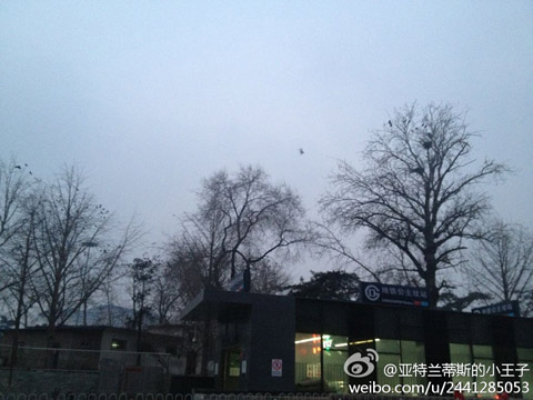 ��������������ת�� �糿������