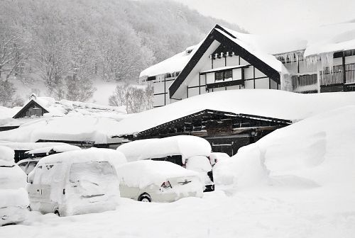 ���ص�����ѩ