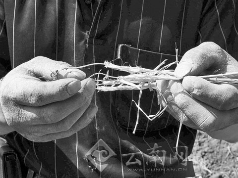 �������� �����������¸ɺ�ǿ�������ۼ�