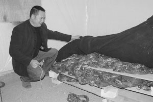 浙江建德市:养鸡大户兼养蛇 鸡喂蛇一举两得