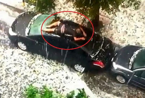 ����͢���Ӱ���������Ѫ��֮��Ϊ����������