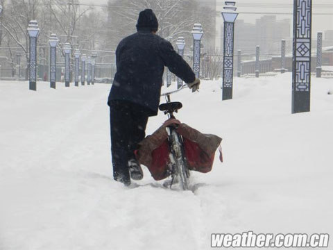 ��������ǿ��ѩ ��������Сѧ��ѧ�Ƴ�