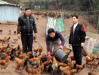 ������˫����������2�����£��У�����������