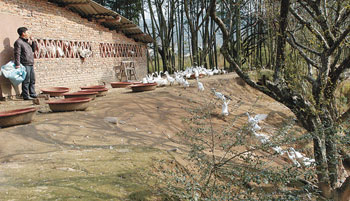 ¡رϪϣһǰѼϷӣѼӸ¸½Χ£ʳ