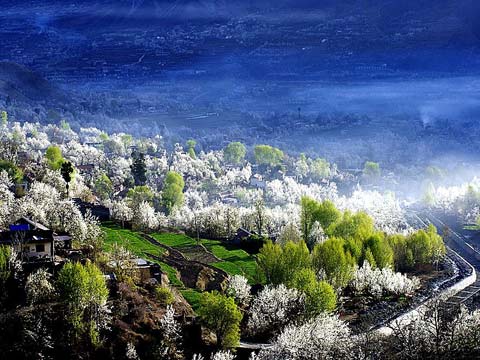 春光明媚 踏青赏花正当时