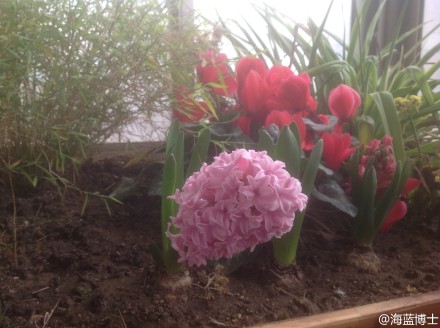 ����6���������� �����Խ�����